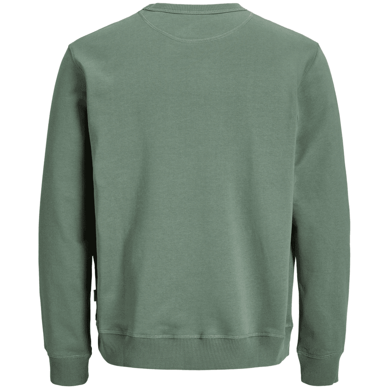 Jack and Jones Junior Jornorrebro sweatshirt, Laurel Wreath