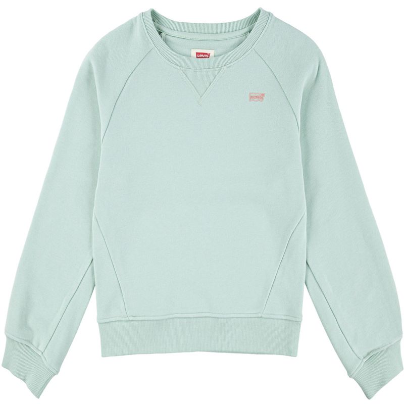 Levis Batwing sweatshirt til barn, Celadon