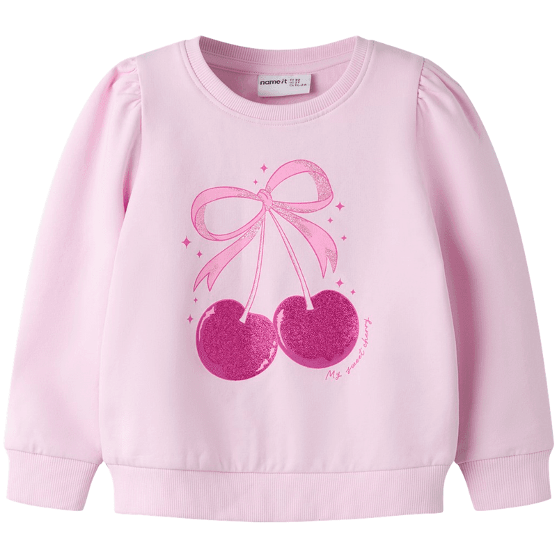 Name It Nmffinna sweatshirt til småbarn, Pirouette